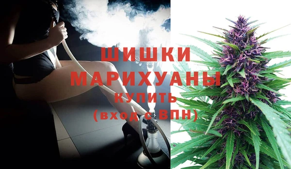 ПСИЛОЦИБИНОВЫЕ ГРИБЫ Горнозаводск